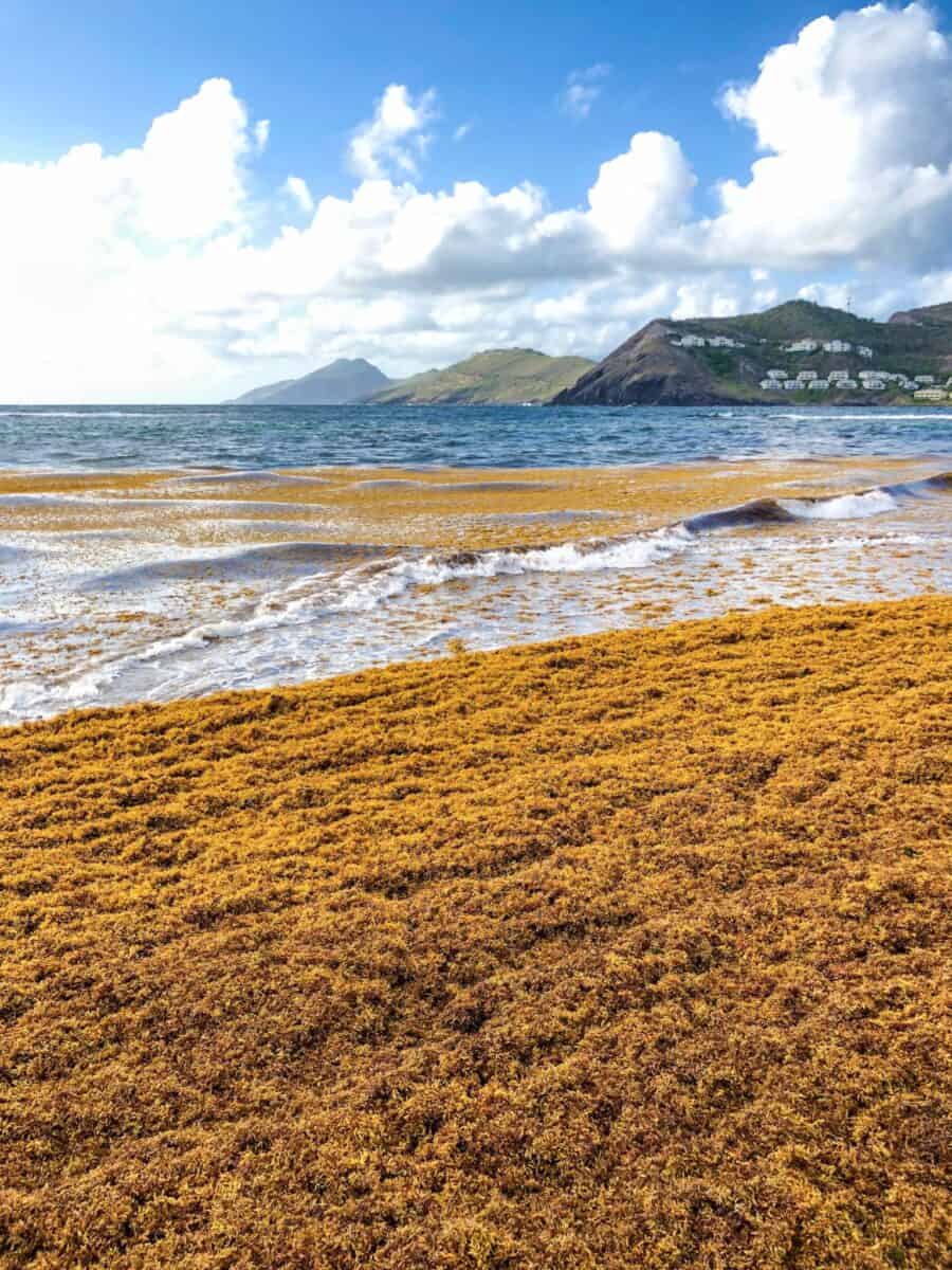 Frigate Bay North Beach in St Kitts