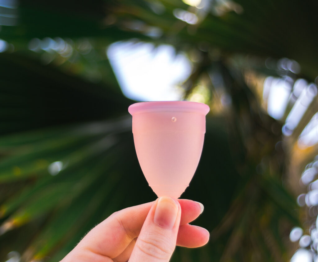 A hand holding up a menstrual cup against a backdrop of a pal tree