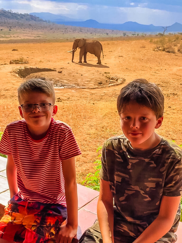 Two boys sat on a wall with an elephant in the background on a family safari in Africa