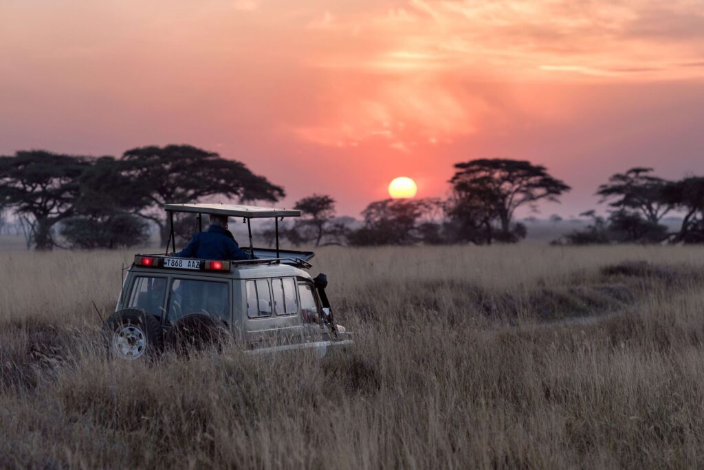 Game drive safari, one of the choices for an African Safari