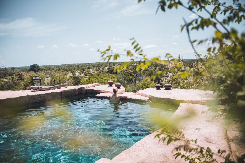 Pool overlooking the African Bush