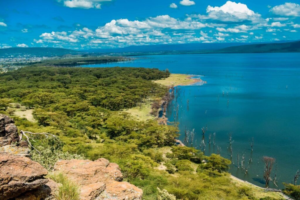 A view of Lake Nakuru Shoreline in Kenya